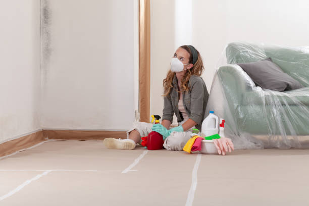 Reliable Mold Remediation contractor in Clifton, VA by WQB Mold Removal